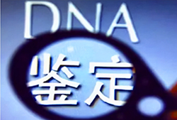 盐城有DNA鉴定的医院吗(办理地址)