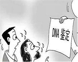 盐城医院做亲子鉴定出结果时间